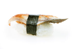 Angerja nigiri