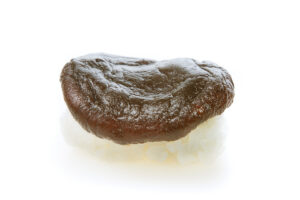Shiitake nigiri