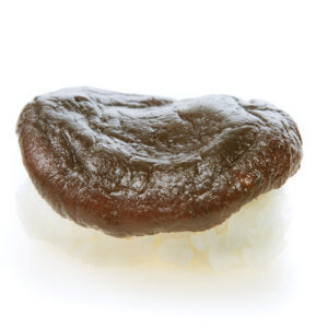 Shiitake nigiri